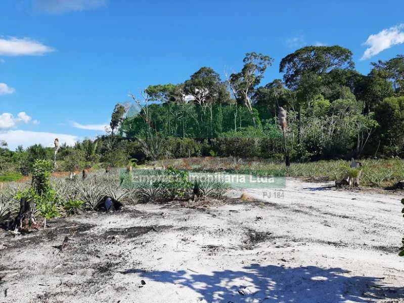VENDE SE SITIO NA ESTRADA DE NOVO AIRÃO
