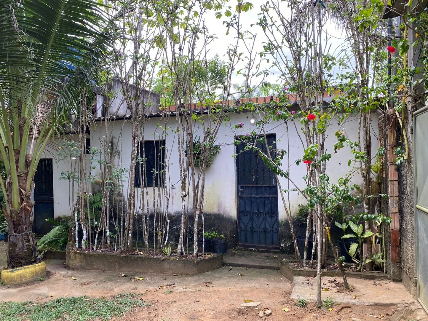 Sítio com 1 dormitório à venda, 5000 m² por RS 600.000 - Área Rural - Manaus-AM