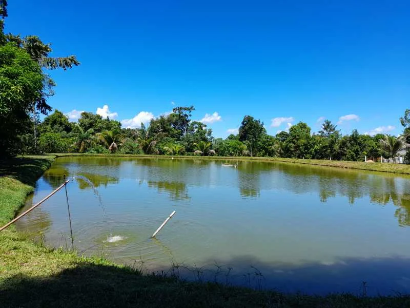 VENDO UM LINDO SITIO LOCALIZADO NA SEDE DO IRANDUBA