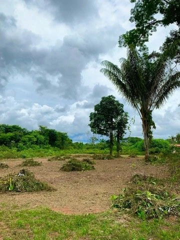 Terreno à venda, 800 m² por RS 30.000 - Zona Rural de Rio Preto da Eva - Rio Preto da Eva-AM