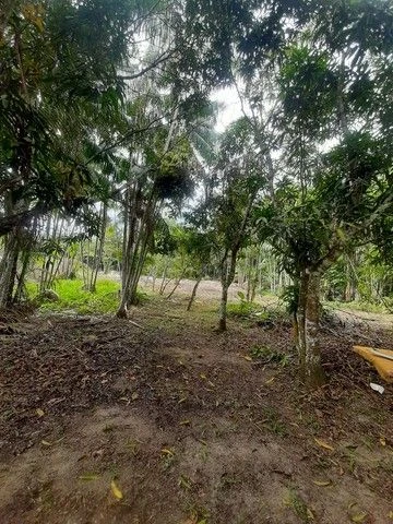 Casa com 10 dormitórios à venda, 5670 m² por RS 1.300.000,00 - Tarumã - Manaus-AM