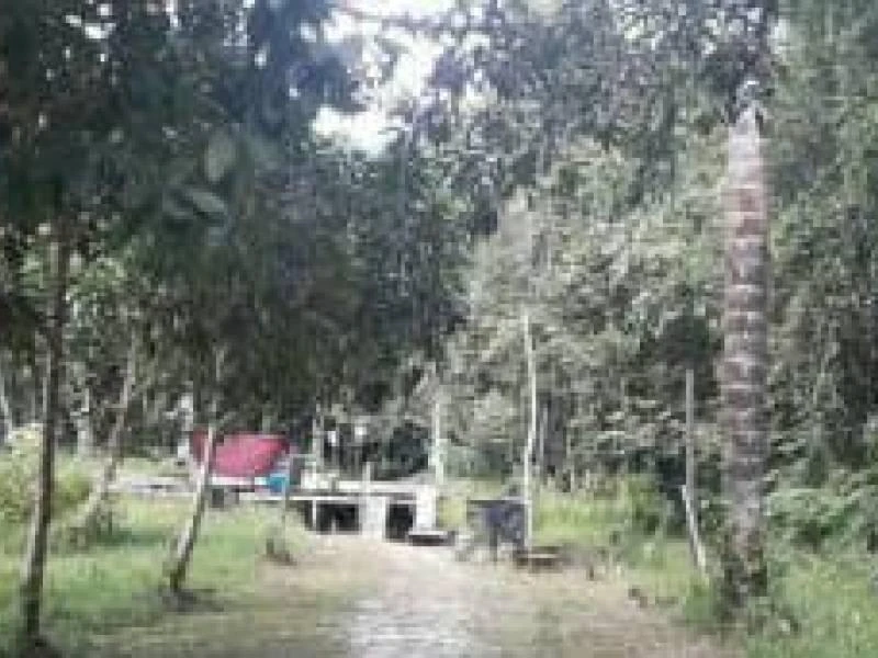 Sítio Rural à venda, Parque 10 de Novembro, Manaus - .