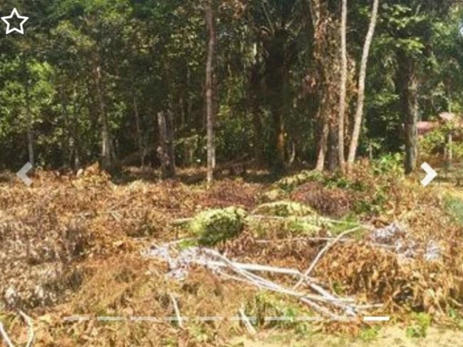 Terreno à venda, 1000 m² por RS 30.000 - Bela Vista - Iranduba-AM