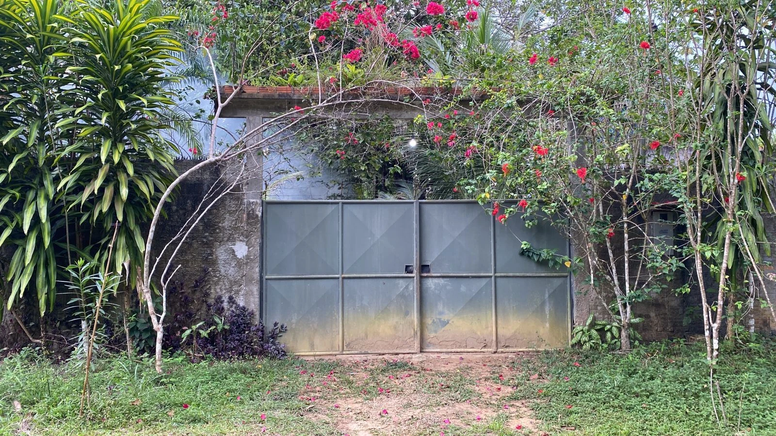 Sítio com 1 dormitório à venda, 5000 m² por RS 600.000 - Área Rural - Manaus-AM