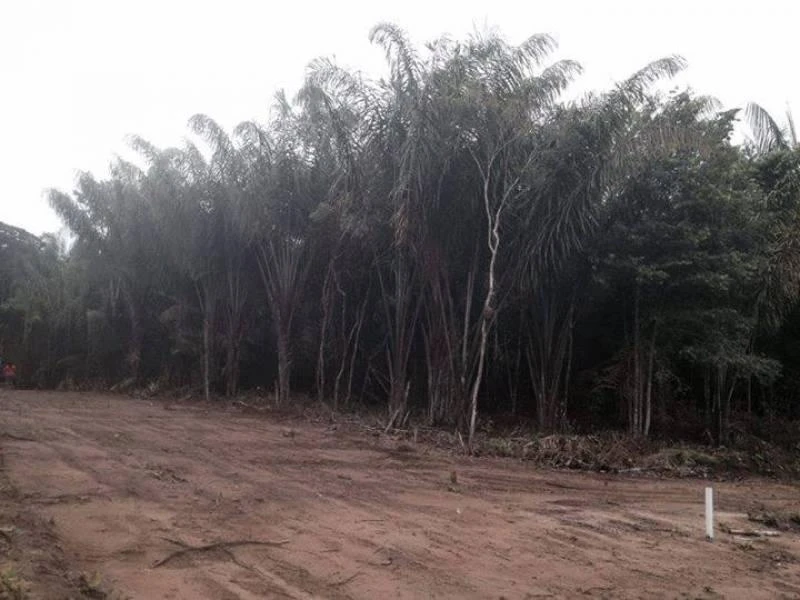 Terreno à venda, 1000 m² por RS 250.000,00 - Zona Rural - Iranduba-AM
