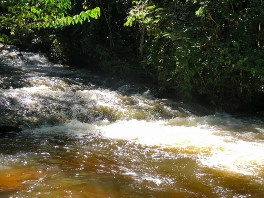 Corredeira à venda, 750000 m² por RS 500.000 - Área Rural - Manaus-AM