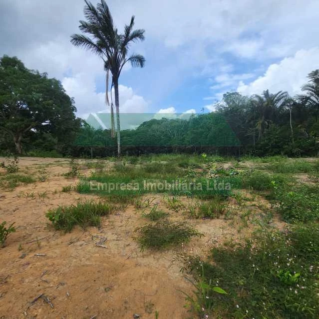Terreno: Distrito Industrial Expansão II / $ 350 MIL