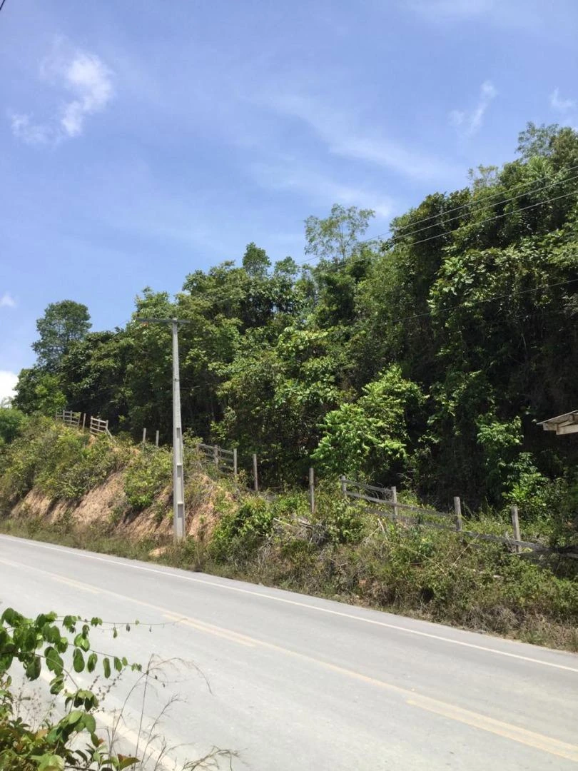 Terreno à venda, 1500000 m² por RS 1.000.000 - Zona Rural de Rio Preto da Eva - Rio Preto da Eva-AM