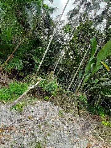 Casa com 10 dormitórios à venda, 5670 m² por RS 1.300.000,00 - Tarumã - Manaus-AM