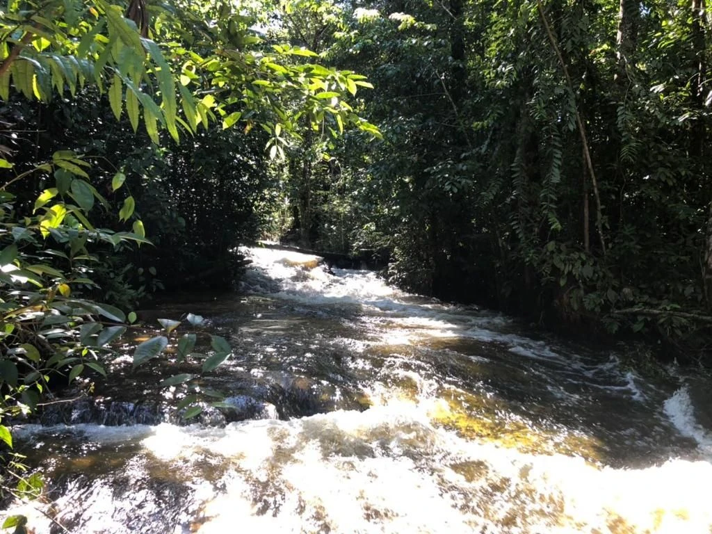 Corredeira à venda, 750000 m² por RS 500.000 - Área Rural - Manaus-AM