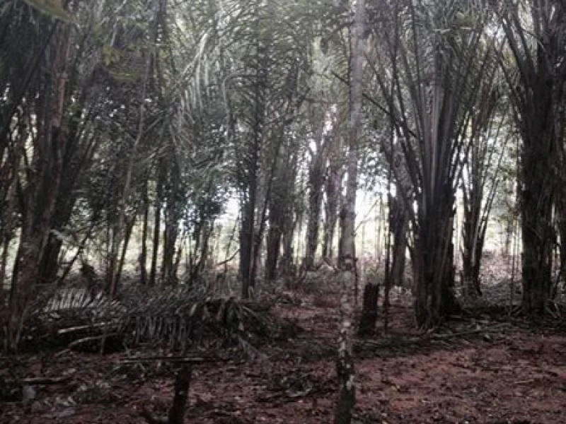 Terreno à venda, 1000 m² por RS 250.000,00 - Zona Rural - Iranduba-AM