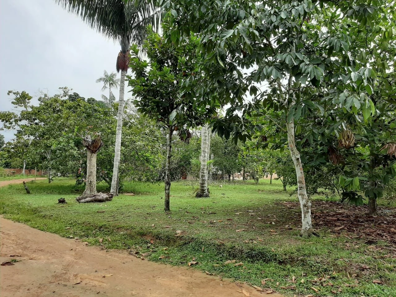 Sítio com 2 dormitórios à venda, por RS 700.000 em Iranduba