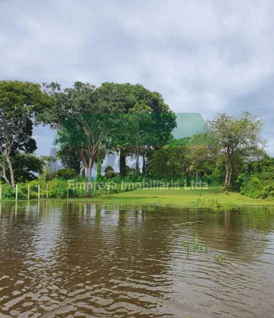 Vende-se terreno / lago do Macurany, Parintins Amazonas.