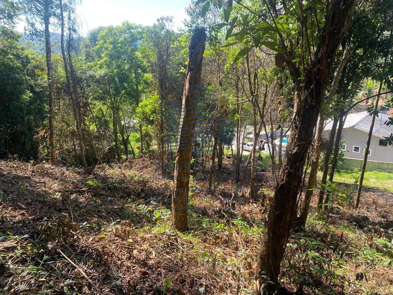 Terreno 5000m² à venda na Estrada Noruega em Várzea das Moças Niterói