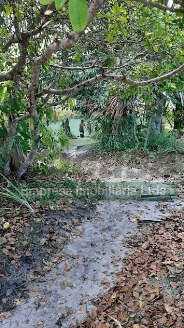 VENDE SE SITIO NA ESTRADA DE NOVO AIRÃO
