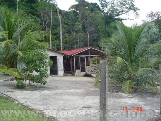 Sítio com 2 dormitórios à venda, 1000 m² por RS 270.000,00 - Área Rural - Manaus-AM