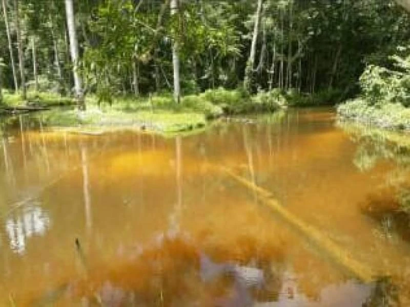 Sítio Rural à venda, Parque 10 de Novembro, Manaus - .