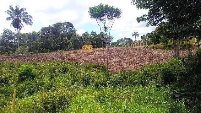 Terreno para alugar, 40000 m² por RS 10.000,00-mês - Área Rural - Manaus-AM