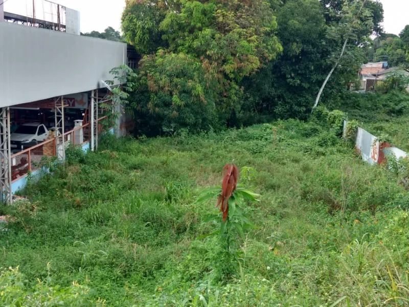 Terreno à venda, 1050 m² por RS 840.000,00 - Cidade Nova - Manaus-AM