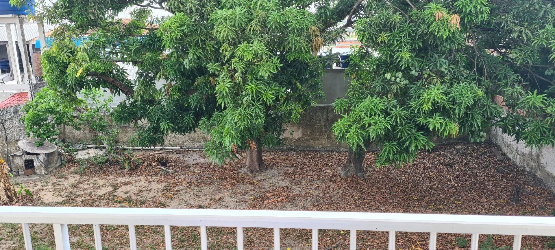 Casa com 5 dormitórios à venda, 600 m² por RS 600.000 - Parque 10 de Novembro - Manaus-AM