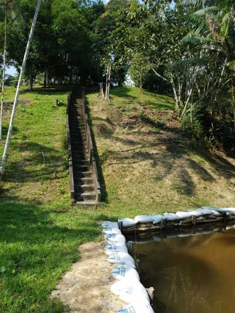 Chácara à venda, 10500 m² por RS 350.000,00 - Centro - Rio Preto da Eva-AM