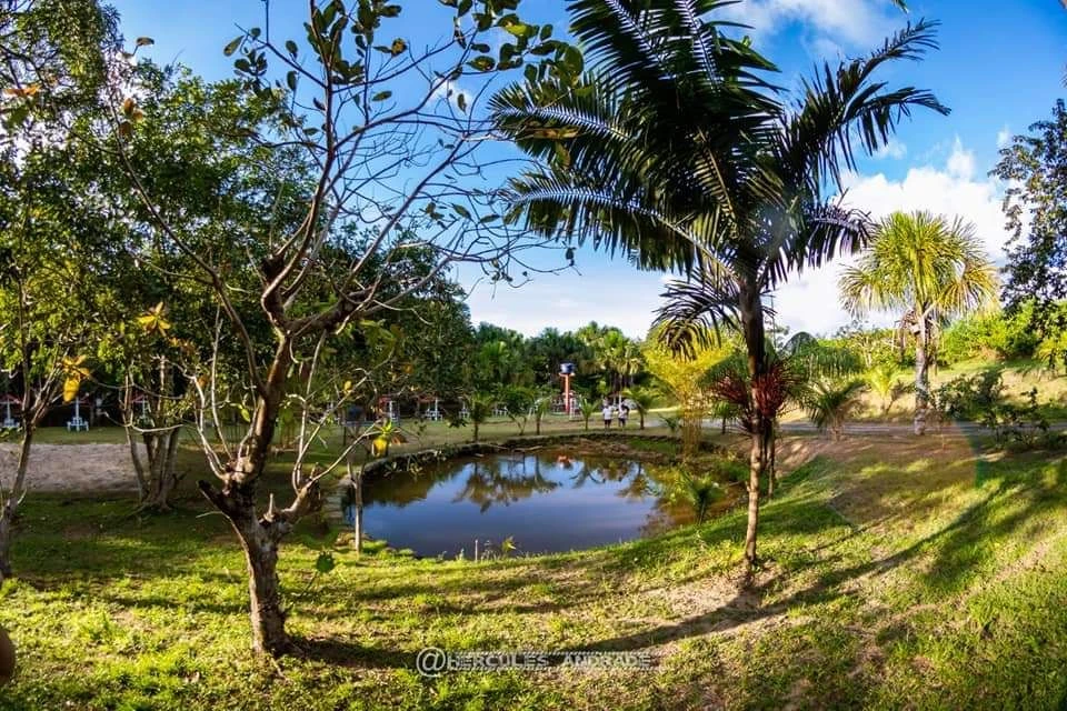 Chácara com 3 dormitórios à venda, 64000 m² por RS 1.600.000,00 - Área Rural - Manaus-AM