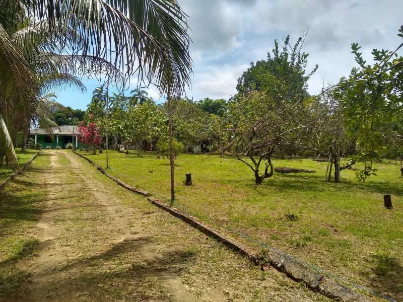 Chácara à venda, 10500 m² por RS 350.000,00 - Centro - Rio Preto da Eva-AM