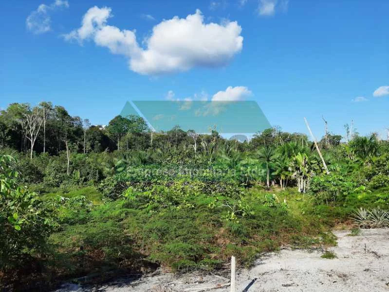VENDE SE SITIO NA ESTRADA DE NOVO AIRÃO