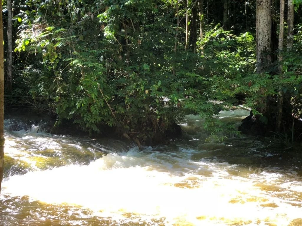 Corredeira à venda, 750000 m² por RS 500.000 - Área Rural - Manaus-AM