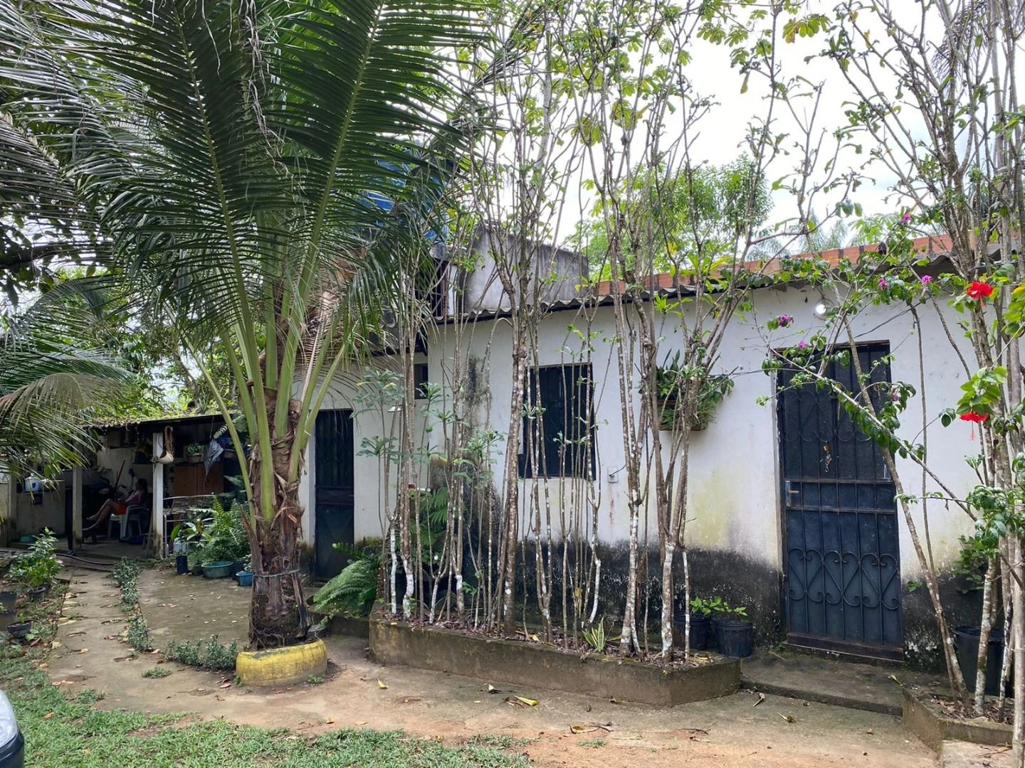 Sítio com 1 dormitório à venda, 5000 m² por RS 600.000 - Área Rural - Manaus-AM