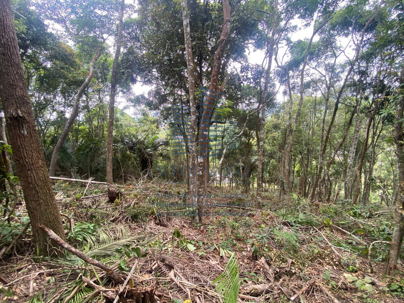 Terreno 5000m² à venda na Estrada Noruega em Várzea das Moças Niterói