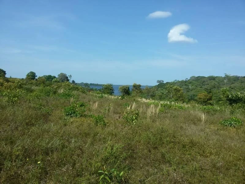 Terreno à venda, 5000 m² por RS 119.000,00 - Zona Rural - Iranduba-AM