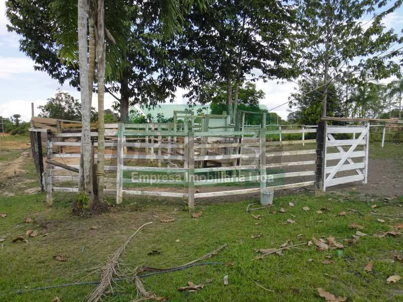 TERRENO INDUSTRIAL / CAREIRO DO CASTANHO / $ 190.000,00 / 48 MIL m²