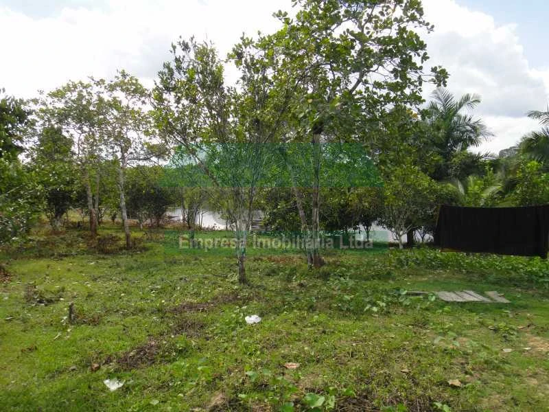 TERRENO INDUSTRIAL / CAREIRO DO CASTANHO / $ 190.000,00 / 48 MIL m²