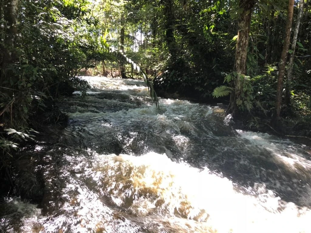 Corredeira à venda, 750000 m² por RS 500.000 - Área Rural - Manaus-AM