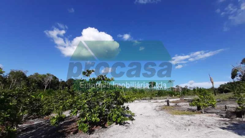 VENDE SE SITIO NA ESTRADA DE NOVO AIRÃO