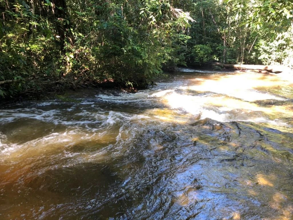 Corredeira à venda, 750000 m² por RS 500.000 - Área Rural - Manaus-AM