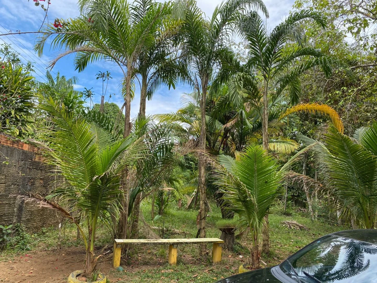 Sítio com 1 dormitório à venda, 5000 m² por RS 600.000 - Área Rural - Manaus-AM