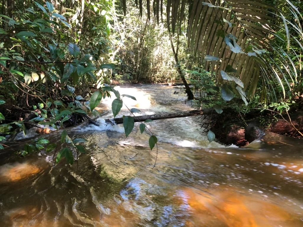Corredeira à venda, 750000 m² por RS 500.000 - Área Rural - Manaus-AM