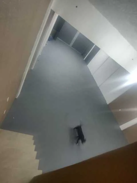 Vende-se Galpão Documentado próximo ao SPA da Galiléia.