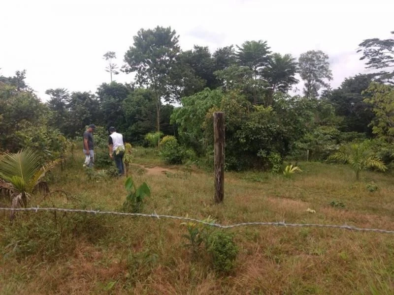 Terreno à venda, 400 m² por RS 25.000,00 - Zona Rural - Iranduba-AM