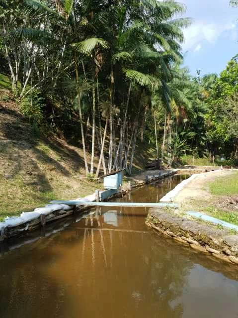 Chácara à venda, 10500 m² por RS 350.000,00 - Centro - Rio Preto da Eva-AM
