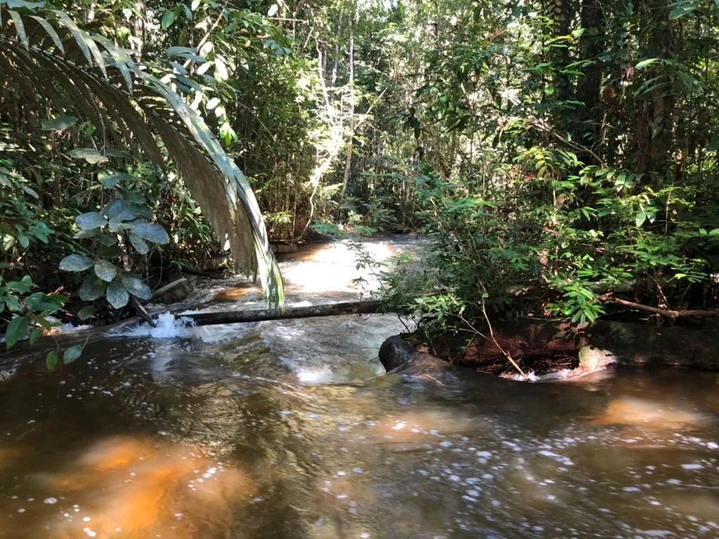 Corredeira à venda, 750000 m² por RS 500.000 - Área Rural - Manaus-AM