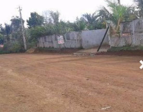 Terreno à venda, 1000 m² por RS 30.000 - Bela Vista - Iranduba-AM