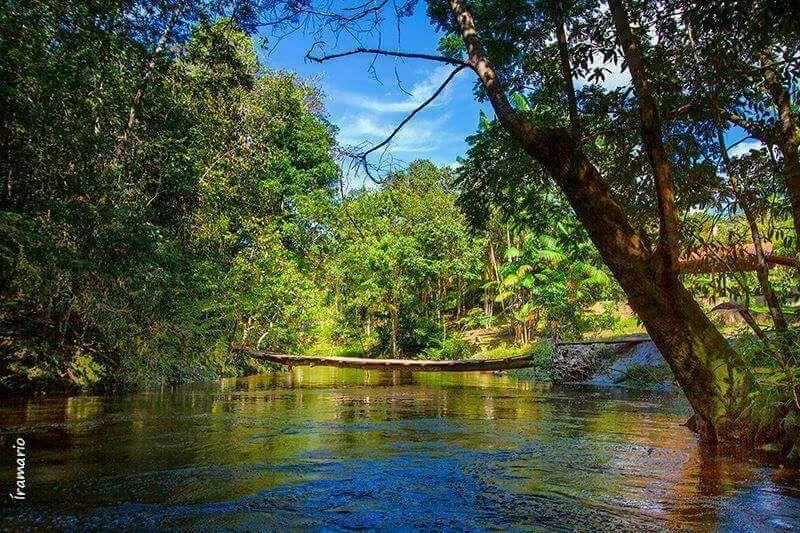 Pousada com 10 dormitórios à venda, 660 m² por RS 3.000.000,00 - Zona Rural - Presidente Figueiredo-