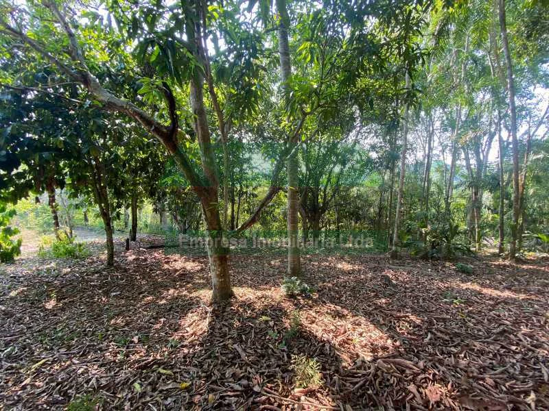 TERRENO NO DISTRITO INDUSTRIAL II - LOCAÇÃO 10.000,00
