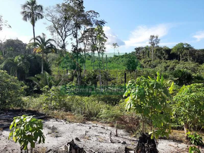 VENDE SE SITIO NA ESTRADA DE NOVO AIRÃO