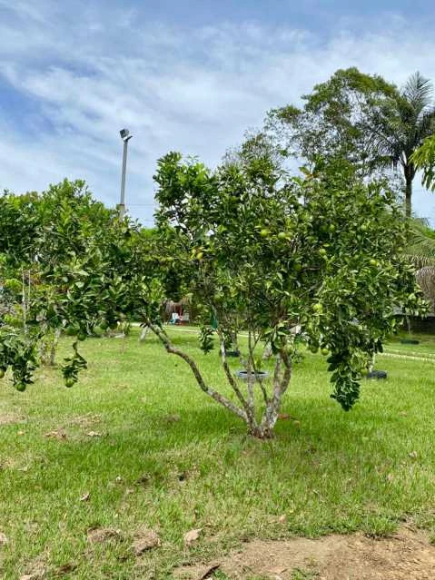 Chácara-À VENDA-Zona Rural-Iranduba-AM
