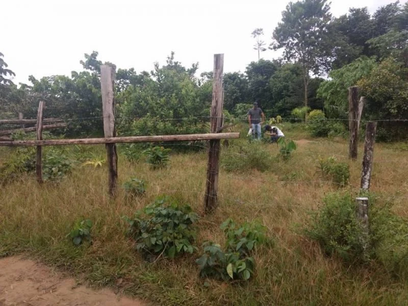 Terreno à venda, 400 m² por RS 25.000,00 - Zona Rural - Iranduba-AM