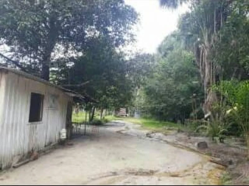 Sítio Rural à venda, Parque 10 de Novembro, Manaus - .